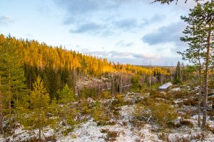 Lepuukivenrinne ja -noro, Leppävirta