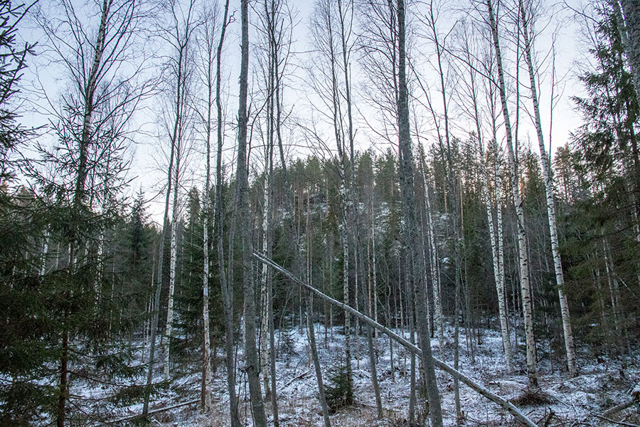 Alttarmäki, Heinävesi