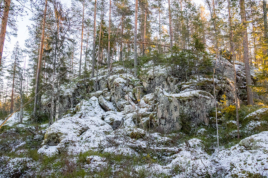 Alttarmäki, Heinävesi