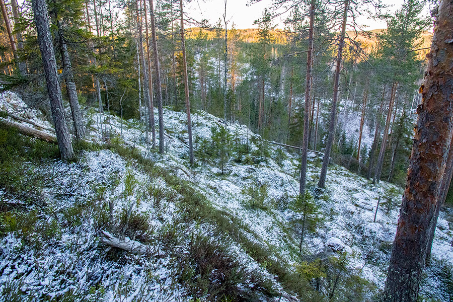 Alttarmäki, Heinävesi