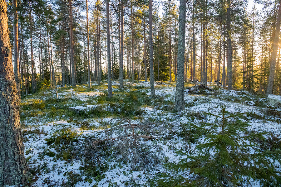 Alttarmäki, Heinävesi