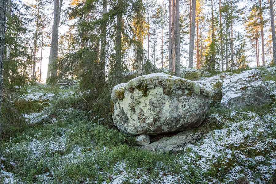 Alttarmäki, Heinävesi