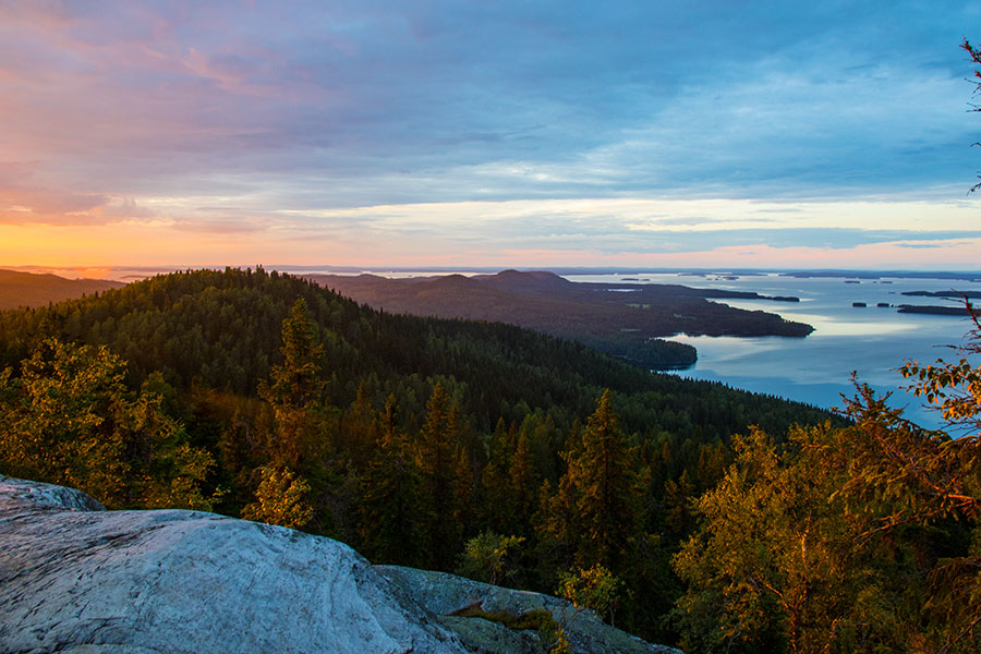 Koli, Lieksa