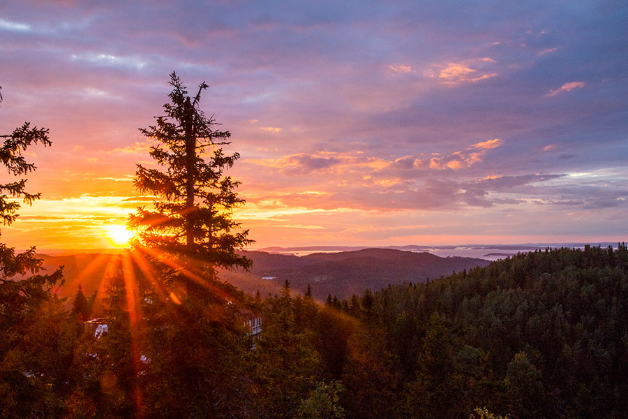 Koli, Lieksa