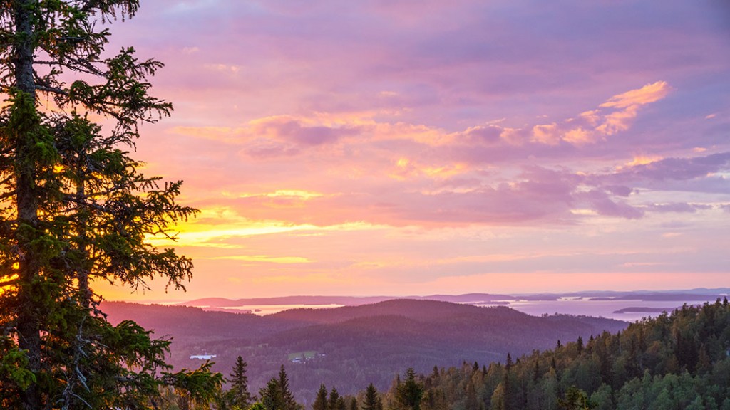 Koli, Lieksa