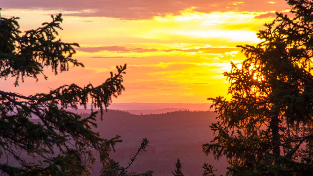 Koli, Lieksa