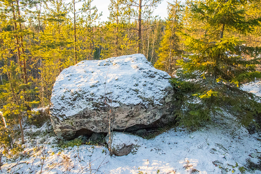 Alttarmäki, Heinävesi