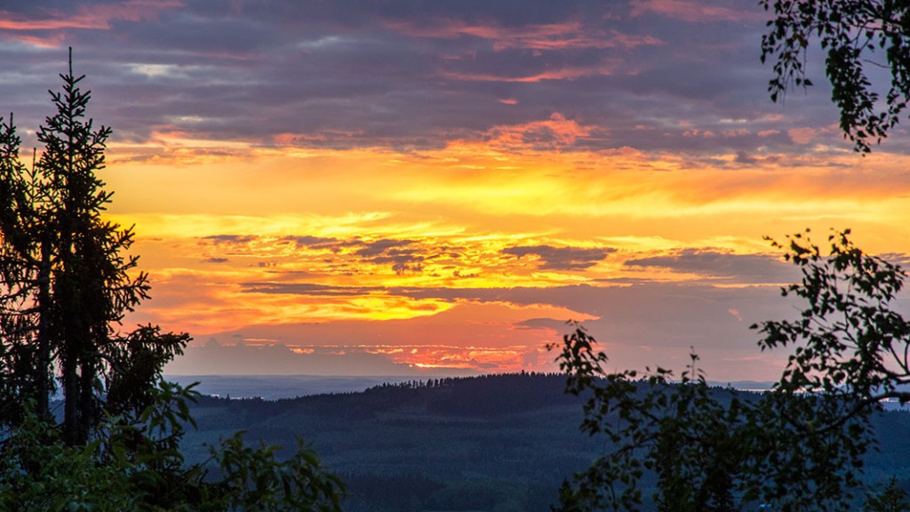 Koli, Lieksa