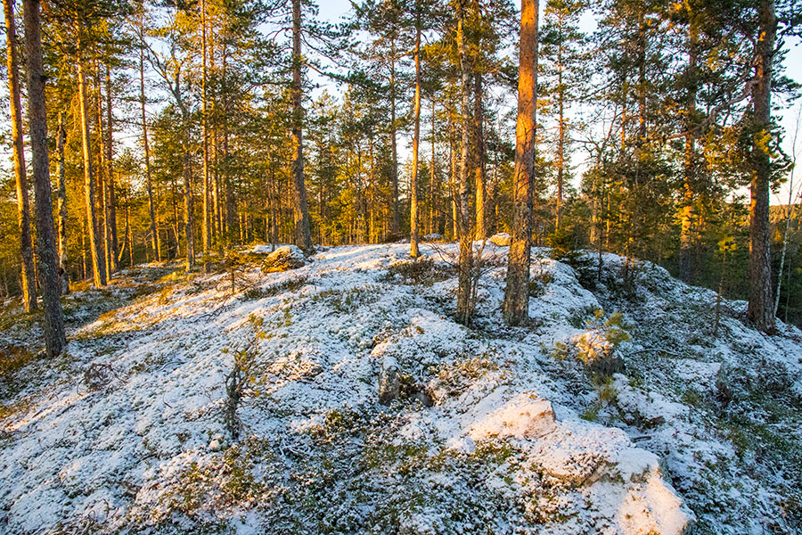 Alttarmäki, Heinävesi