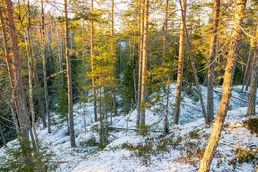 Alttarmäki, Heinävesi