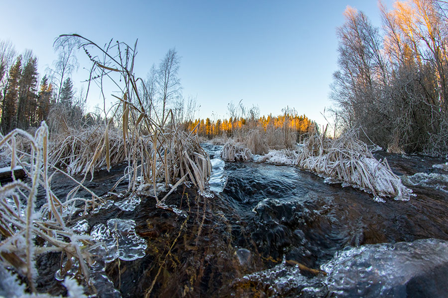 Konnuskosket, Leppävirta