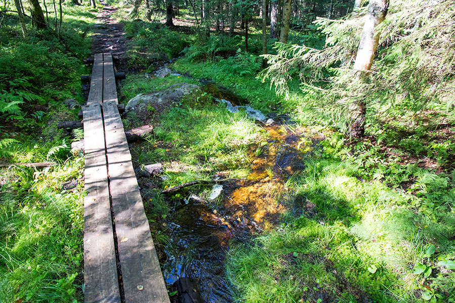 Mäkrä, Lieksa