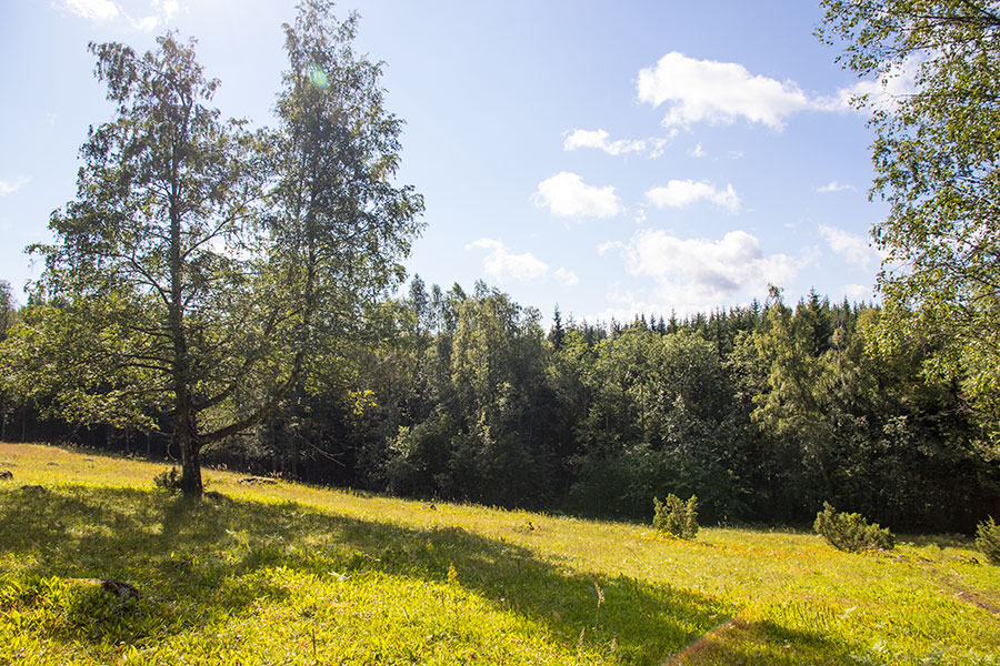 Mäkrä, Lieksa