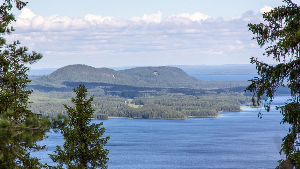 Mäkrä, Lieksa