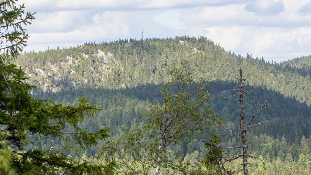 Mäkrä, Lieksa