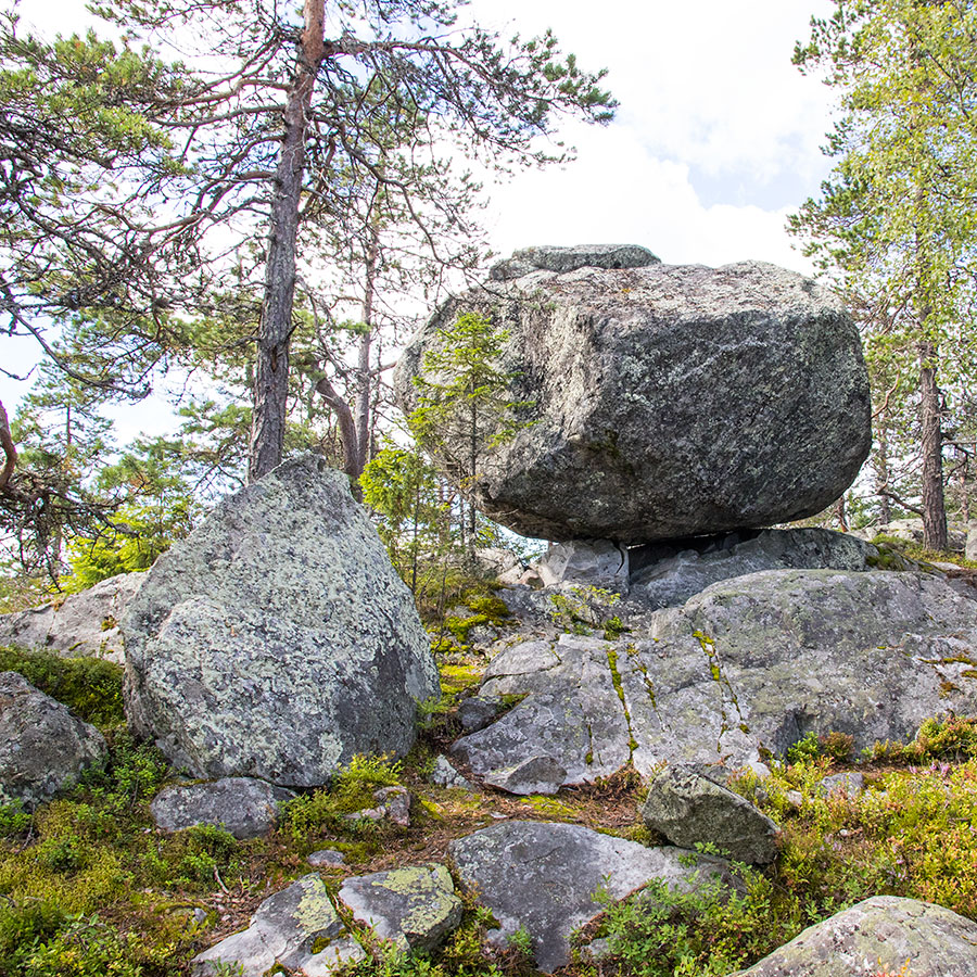 Mäkrä, Lieksa