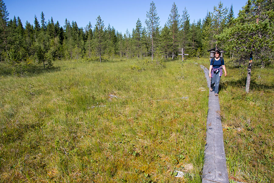 Ryläys, Kontiolahti