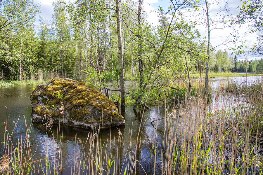 Patakivi, Leppävirta