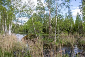 Patakivi – muinainen rajapylväs, Leppävirta