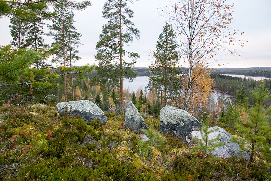 Polvijärven Kivilahenmäki, Heinävesi