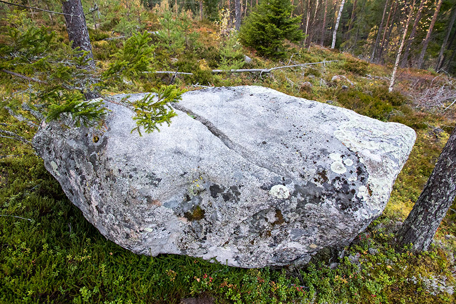 Polvijärven Kivilahenmäki, Heinävesi