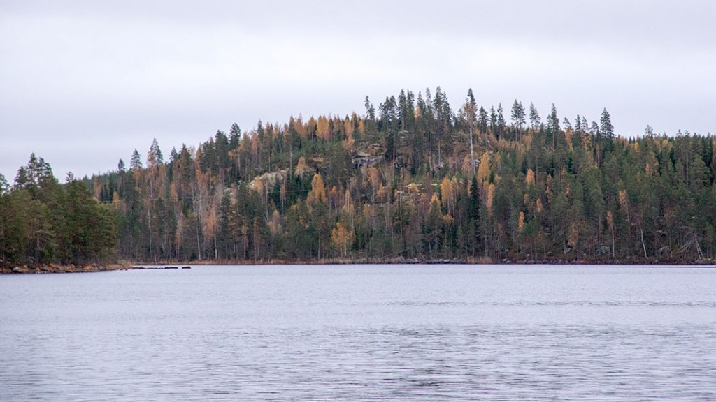 Polvijärven Kivilahenmäki, Heinävesi