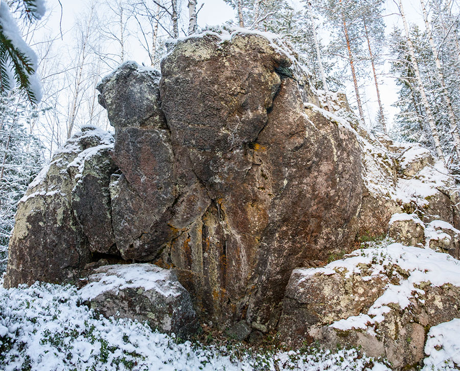 Nuutin Säyneinen, Sorsavesi