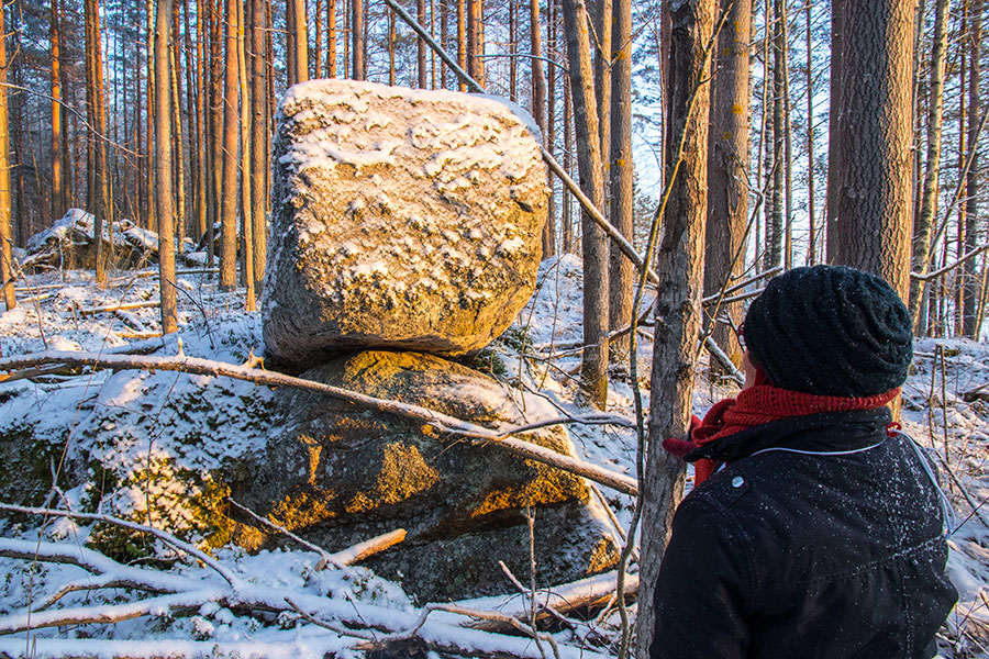 Nuutin Säyneinen, Sorsavesi