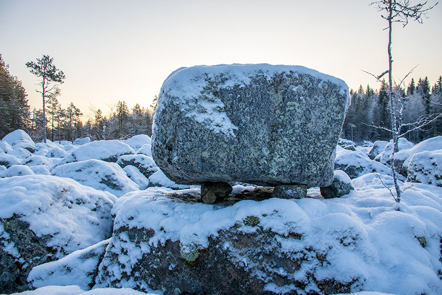 Nuutin Säyneinen, Sorsavesi