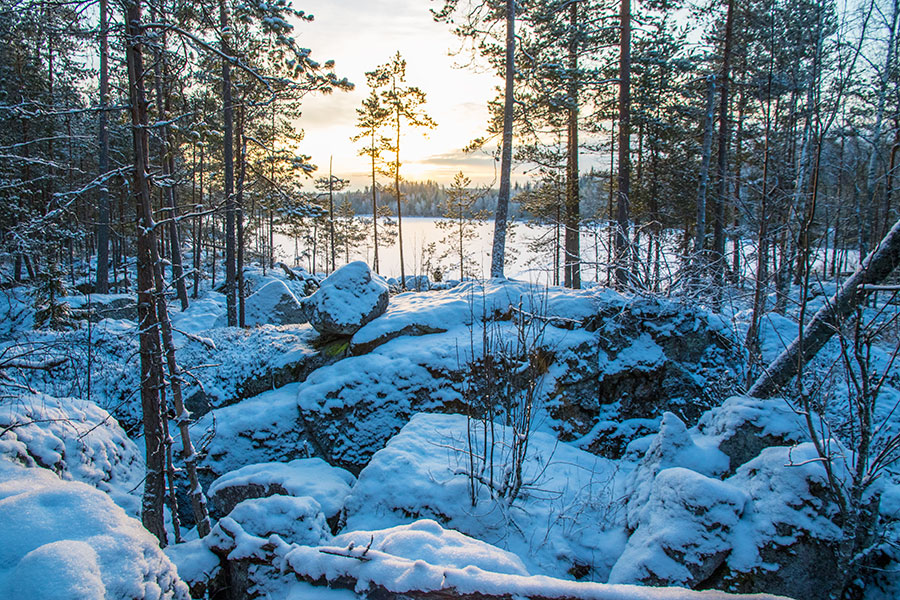 Nuutin Säyneinen, Sorsavesi