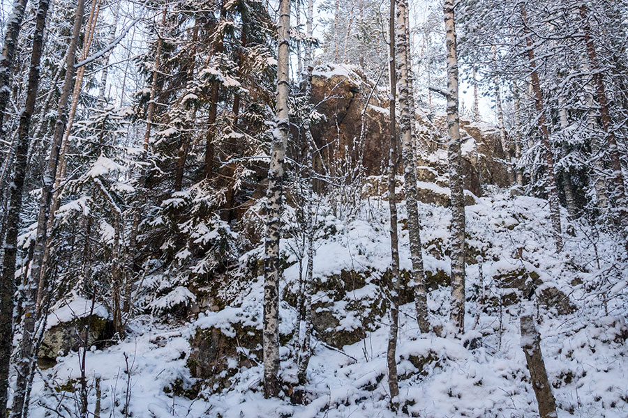 Nuutin Säyneinen, Sorsavesi