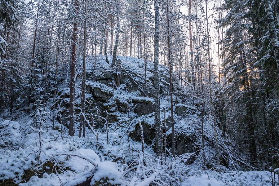 Nuutin Säyneinen, Sorsavesi