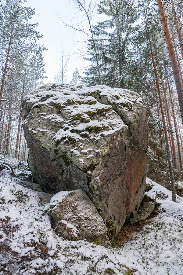 Nuutin Säyneinen, Sorsavesi