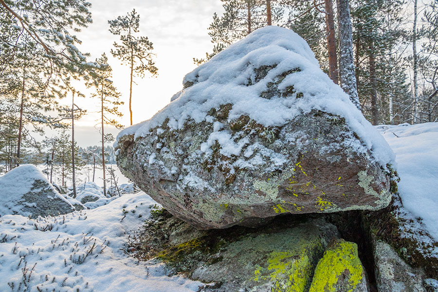 Nuutin Säyneinen, Sorsavesi