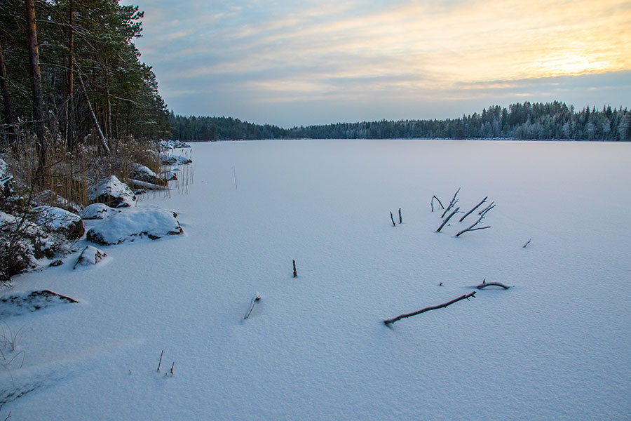 Nuutin Säyneinen, Sorsavesi