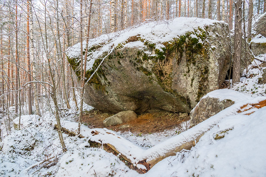 Nuutin Säyneinen, Sorsavesi