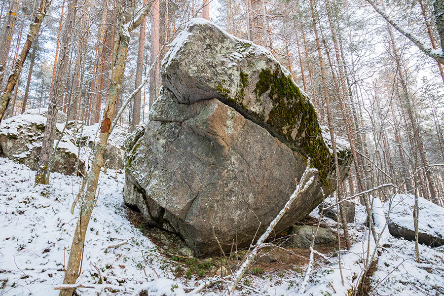 Nuutin Säyneinen, Sorsavesi