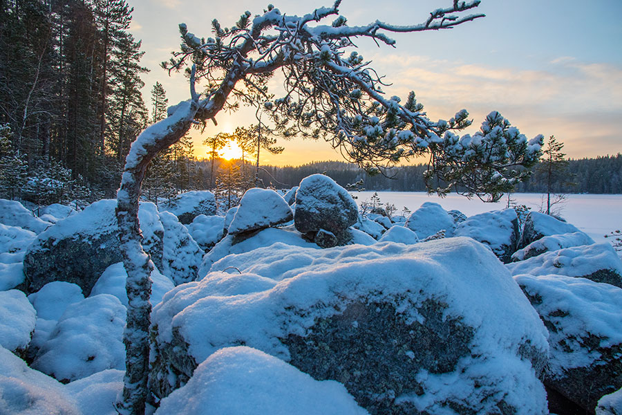 Laajalahdenniemi, Sorsavesi