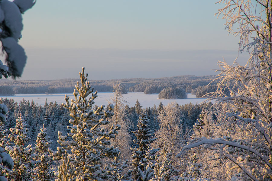 Sortomäki, Leppävirta