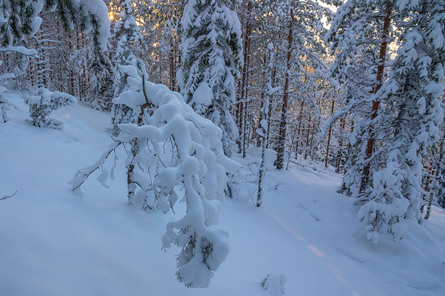 Sortomäki, Leppävirta