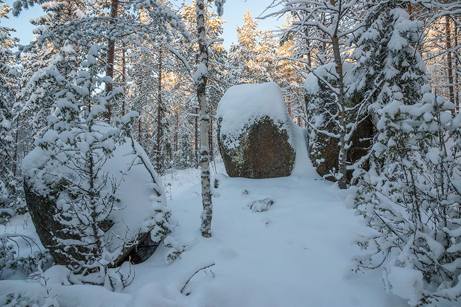 Sortomäki, Leppävirta