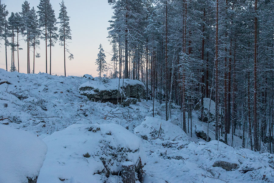 Sortoniemi, Leppävirta