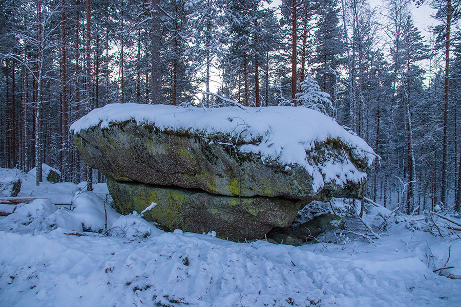 Sortoniemi, Leppävirta