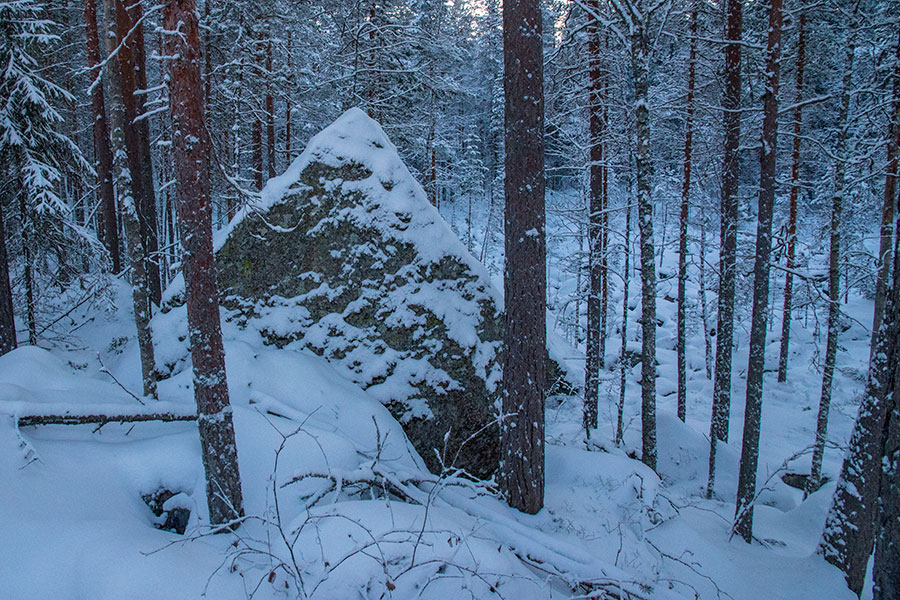 Sortoniemi, Leppävirta