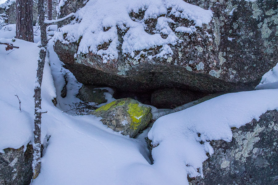 Sortoniemi, Leppävirta