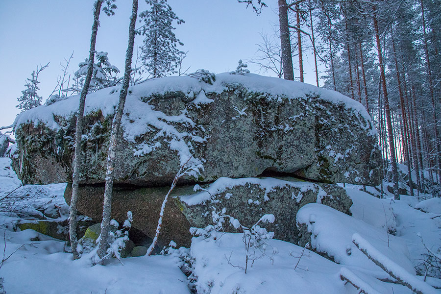 Sortoniemi, Leppävirta