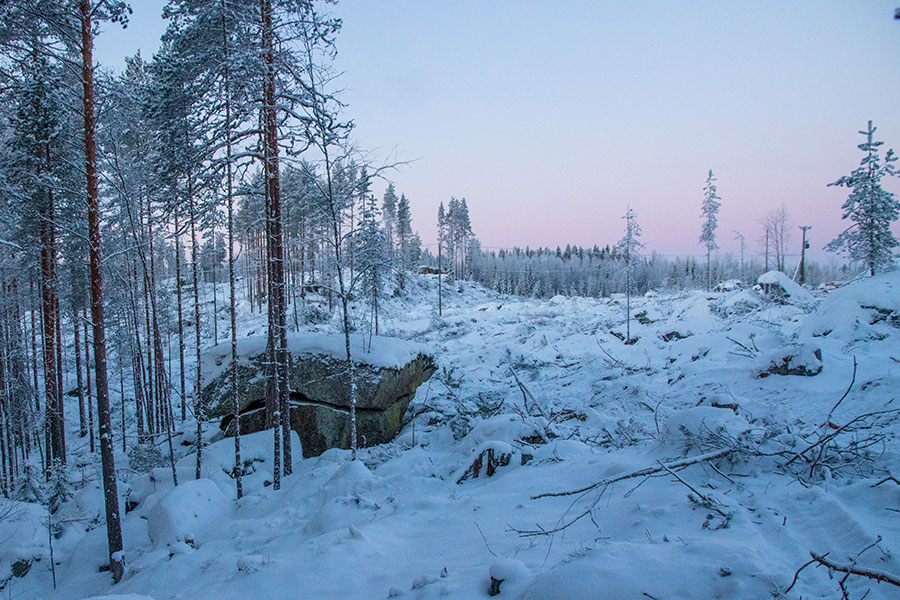 Sortoniemi, Leppävirta