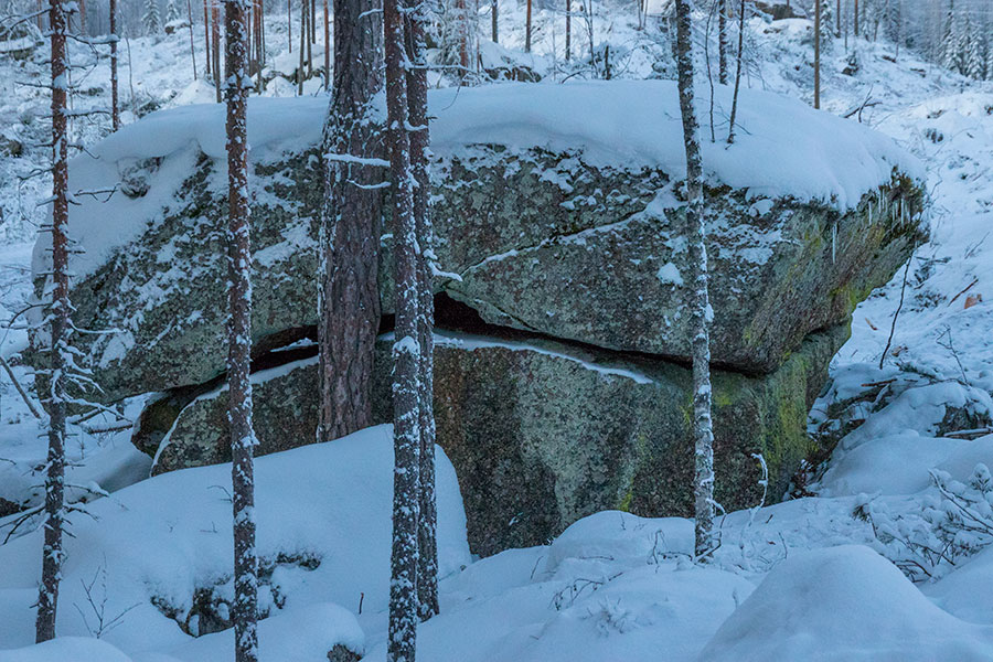 Sortoniemi, Leppävirta