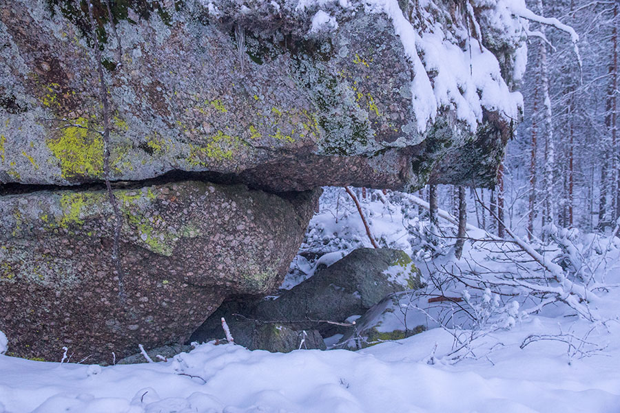 Sortoniemi, Leppävirta