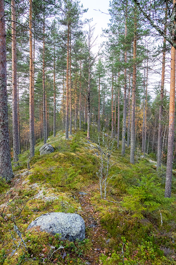 Vaalunsärkkä, Heinävesi